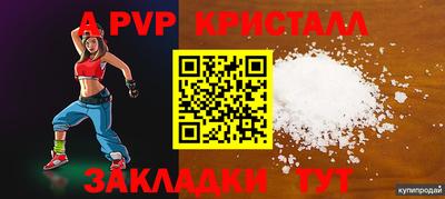 гашик Новокубанск