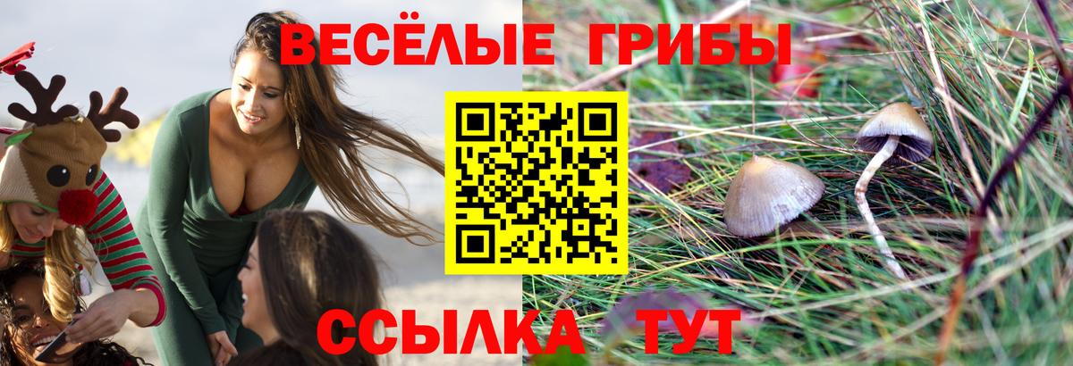Галлюциногенные грибы Magic Shrooms Тихорецк